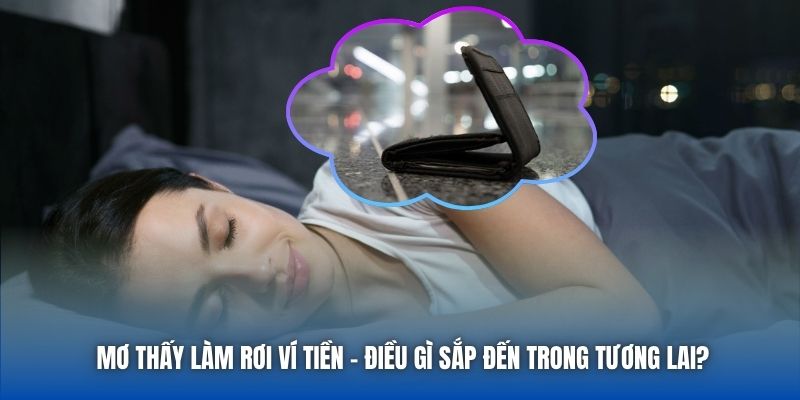 Mơ Thấy Làm Rơi Ví Tiền - Điều Gì Sắp Đến Trong Tương Lai?