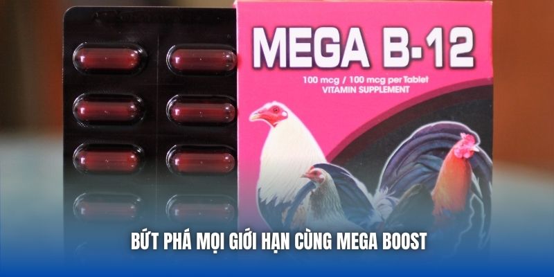Bứt phá mọi giới hạn cùng Mega Boost