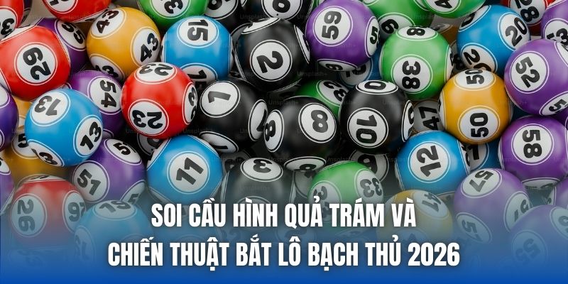 Soi Cầu Hình Quả Trám Và Chiến Thuật Bắt Lô Bạch Thủ 2026