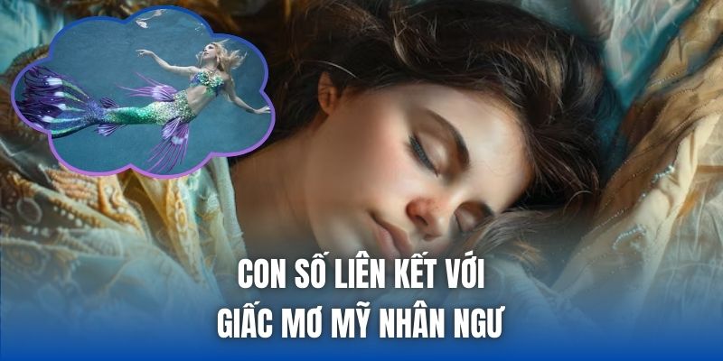 Con số liên kết với giấc mơ thấy nàng tiên cá