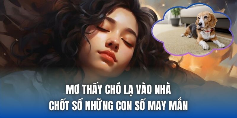 Mơ thấy chó lạ vào nhà chốt sổ những con số may mắn